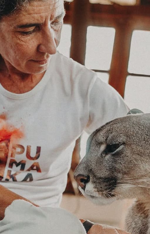 Pumakawa, que significa el que cuida con el sigilo del puma, es una organización dedicada a la recuperación de animales y a la restauración ambiental