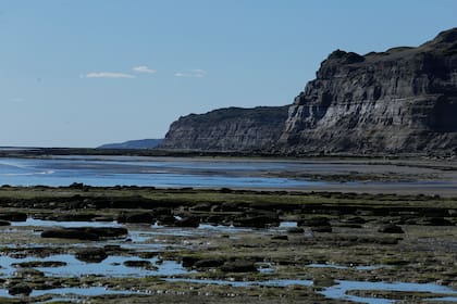 Punta Mejillón