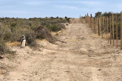 Punta Clara, así había quedado la zona después de que pasara la topadora