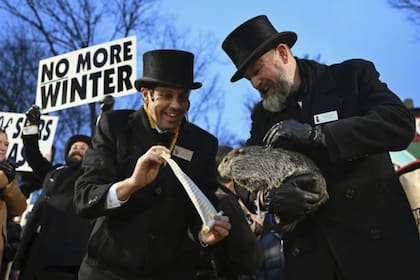 Punxsutawney Phil no vio su sombra en la ceremonia de este 2 de febrero