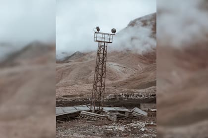 Pyramiden combina el abandono con la naturaleza (Foto Unsplash)