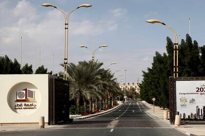 "Qatar 2022"
Dos canchas, 85 camas y un estadio para 10 mil personas: así es el predio en el que vivirá la selección