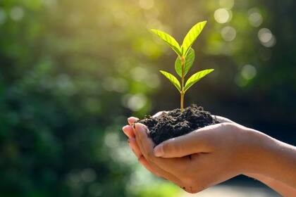 Quammen plantea que es necesario vivir en mayor equilibrio con la naturaleza.