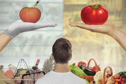 ¿Qué comemos cuando comemos?