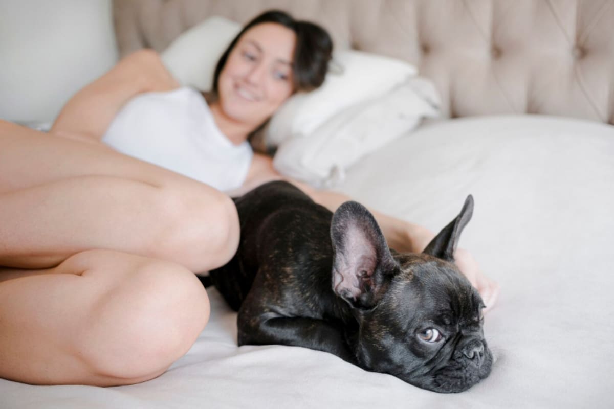 Qué dice la ciencia sobre el hábito de los perros de dormir con sus dueños (Foto: Freepik)
