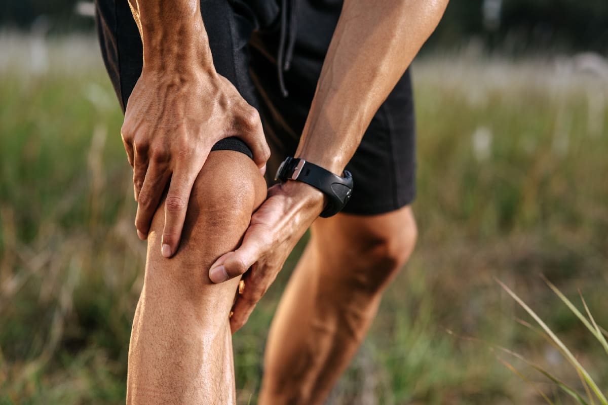 Qué es el babchi, rico en colágeno e ideal para aliviar el dolor articular