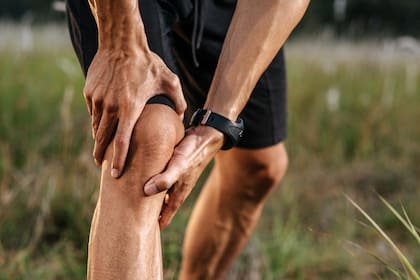 Qué es el babchi, rico en colágeno e ideal para aliviar el dolor articular