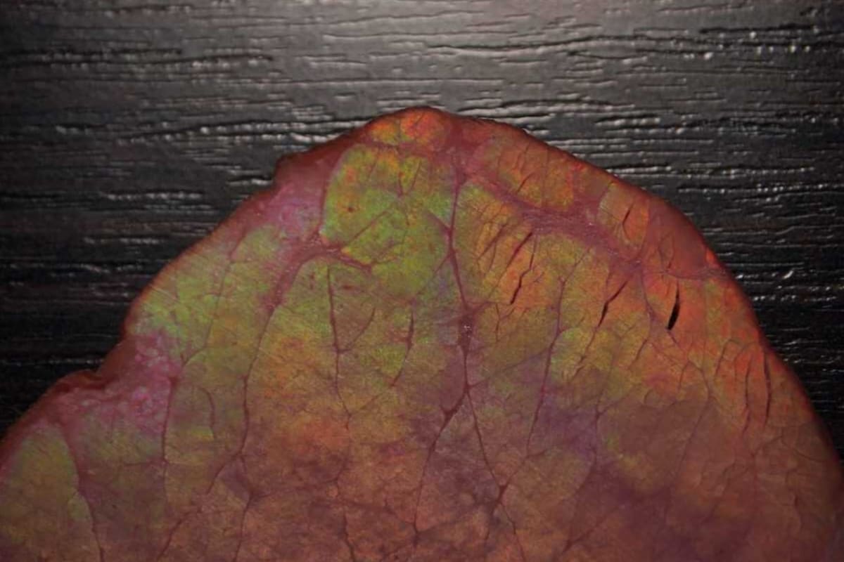 Qué es la capa color arcoíris que a veces tiene la carne