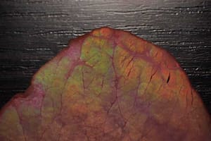 Qué es la capa color arcoíris que a veces tiene la carne