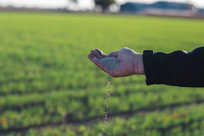 Qué es la nutribioestimulación y por qué mejora el rendimiento y fortalece la sustentabilidad.