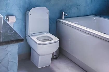 Qué es la regla de los 21 segundos que recomiendan los científicos para cuando se va al baño