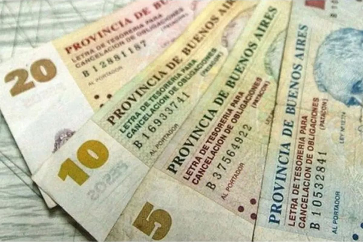 Qué fueron los patacones y los lecops