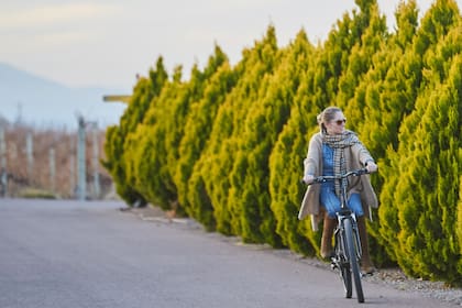 Qué hacer, dónde comer y cuáles son las bodegas imperdibles en un viaje express