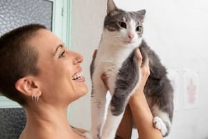 Por qué los veterinarios dicen que tu gato se parece más a vos de lo que creés