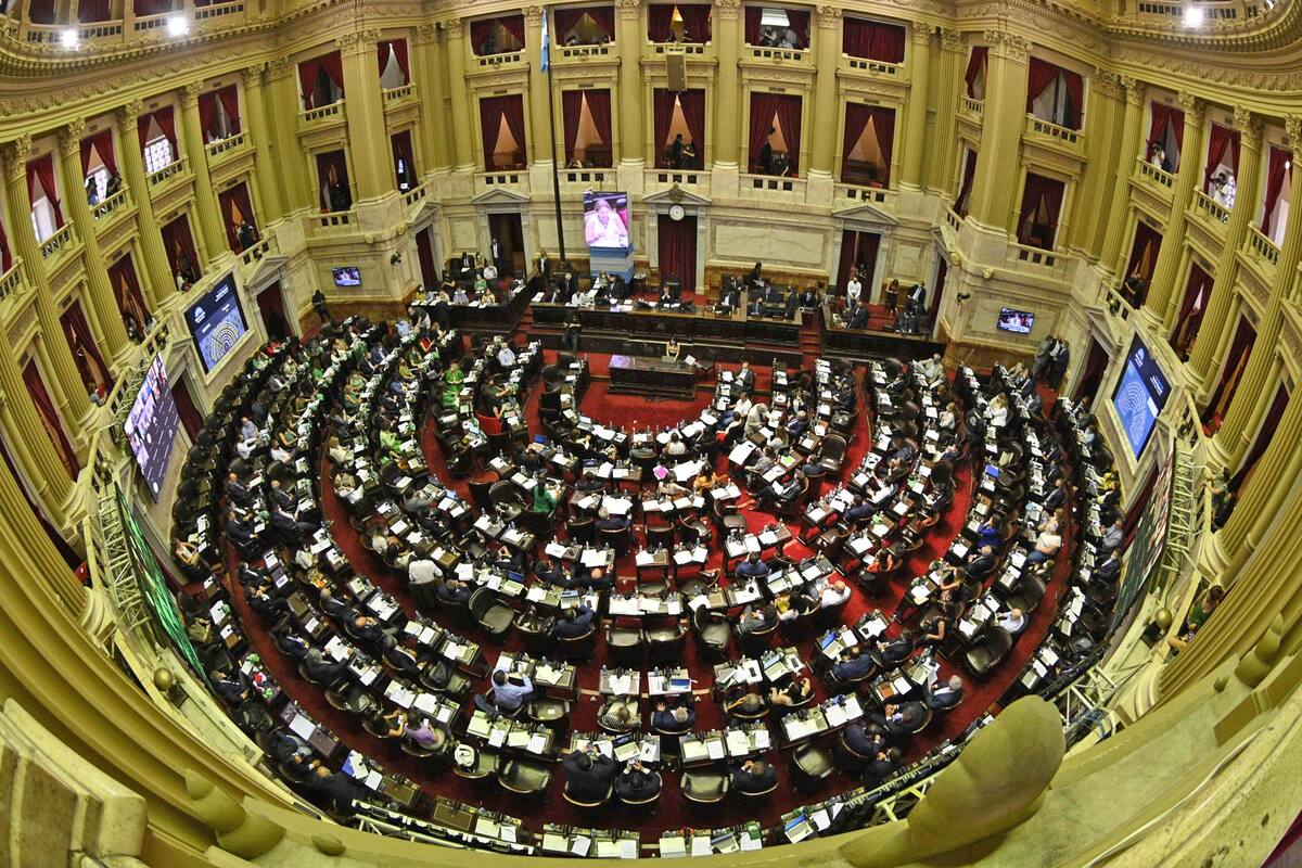 Qué incluye el "Plan de los 1000 días" aprobado hoy en Diputados