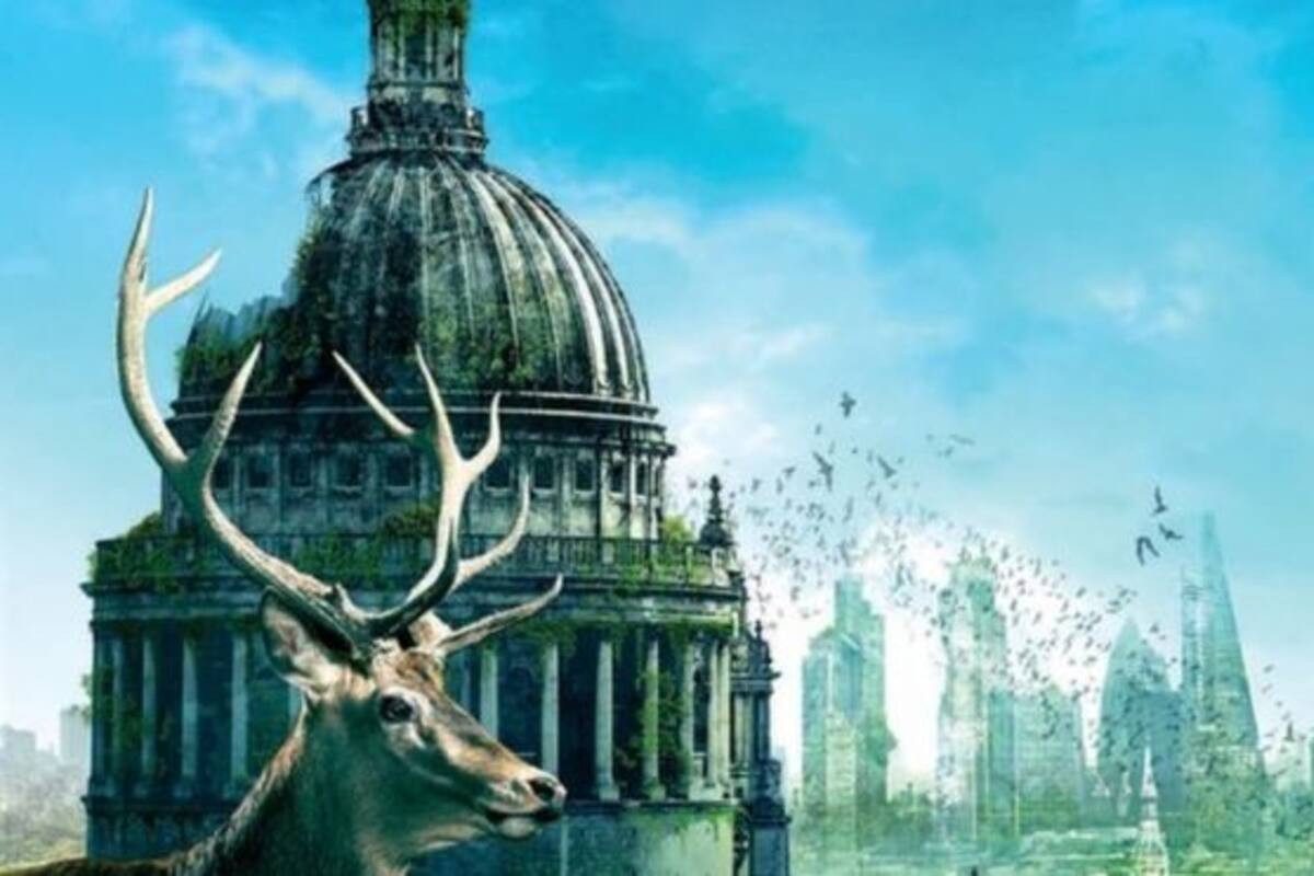 ¿Qué le pasaría a la Tierra si los humanos desapareciéramos?