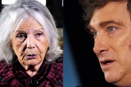Qué opinaba Beatriz Sarlo sobre Javier Milei