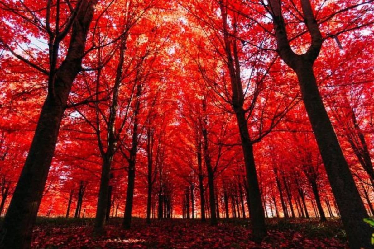 ¿Qué pasa si alguno se cae y no hay nadie ahí?