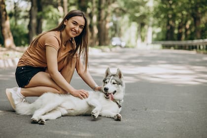 Qué personalidad tienen las personas que acarician a todos los perros en la calle, según la psicología (Foto: Freepik)
