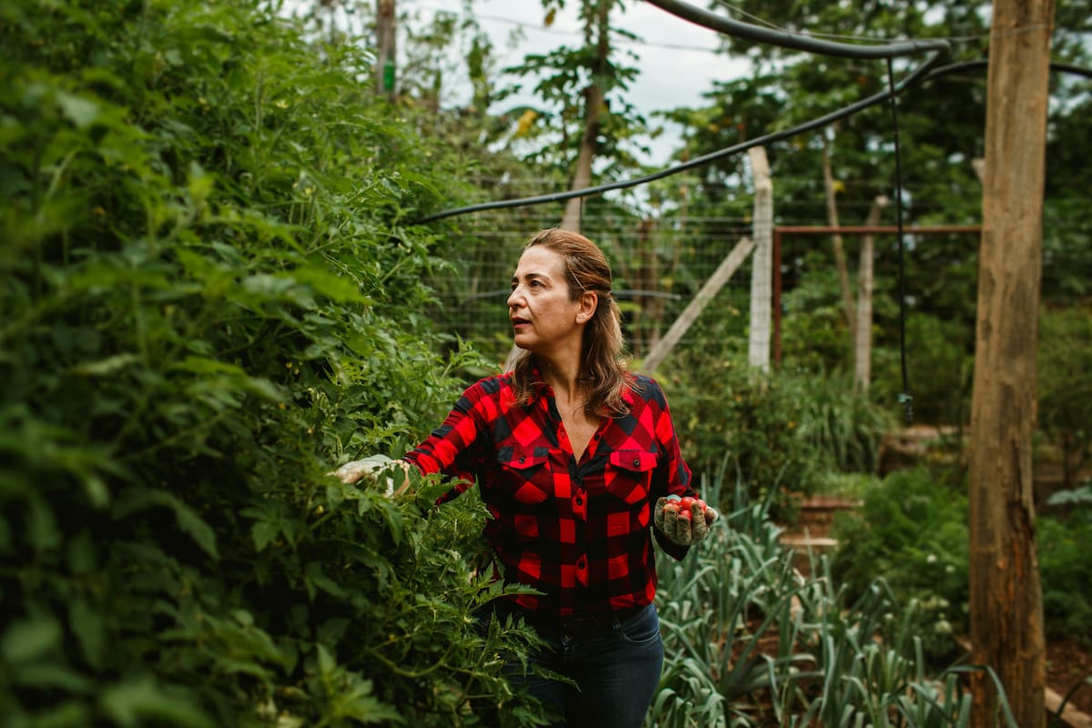 Qué plantar en otoño en la Argentina