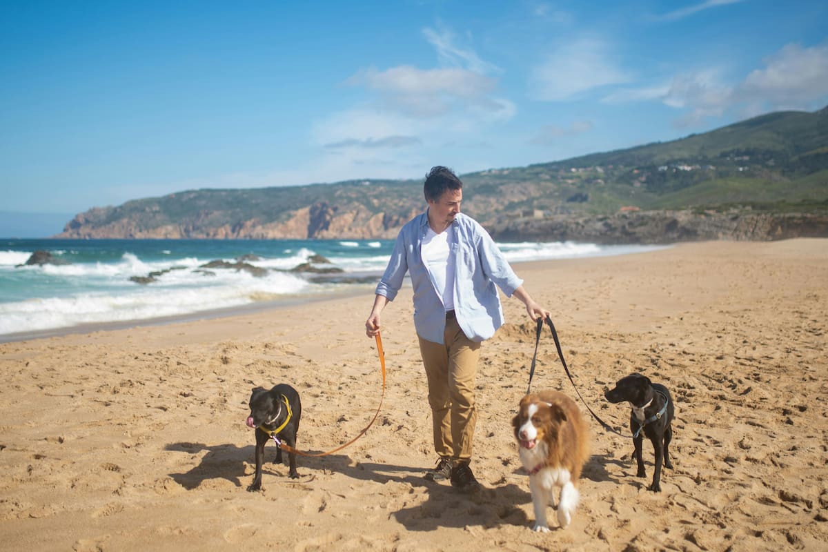Qué precauciones tenés que tomar antes de llevar a tu perro a la playa este verano