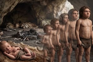 Así eran los bebés neandertales al nacer: su cuerpo crecía casi el doble de rápido después