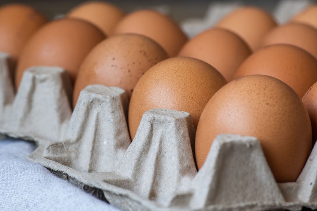Qué se sabe de la distribución de huevos en Nueva York (Foto: Freepik)