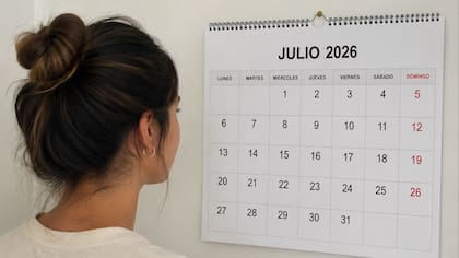 Qué se sabe del feriado que decretará el gobierno Foto: ChatGPT