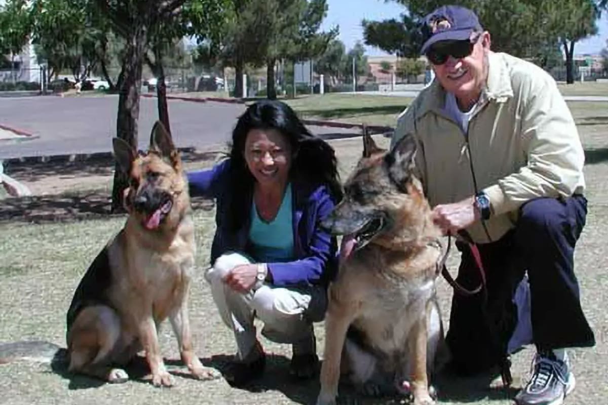 Qué se sabe sobre los perros de Gene Hackman que sobrevivieron a la tragedia