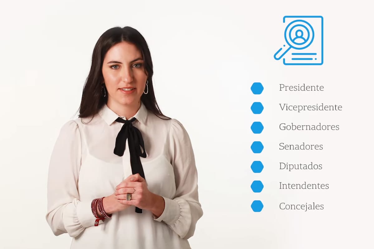 ¿Qué se vota en las PASO de las Elecciones 2019?