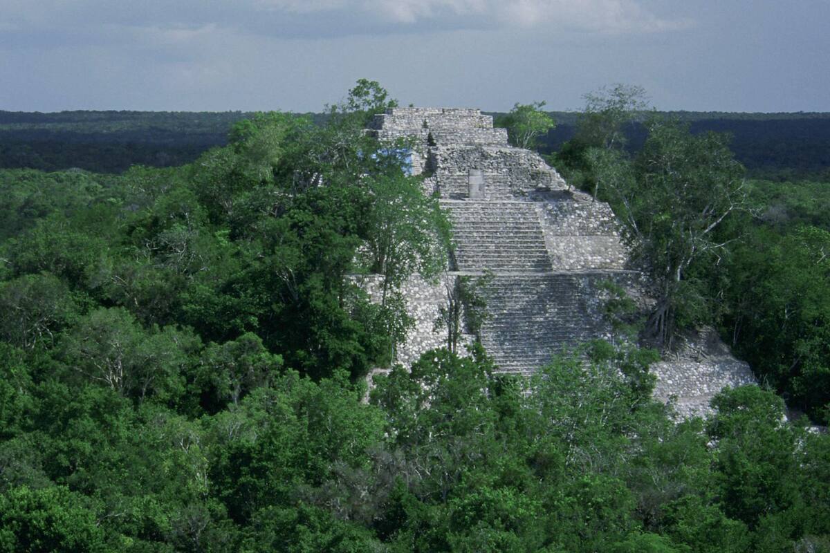Qué secretos esconde la Ciudad Perdida del Dios Mono, en la selva de Honduras (Imagen ilustrativa)
