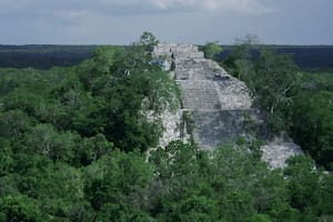 Qué secretos esconde la Ciudad Perdida del Dios Mono, en la selva de Honduras (Imagen ilustrativa)