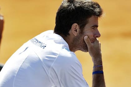 ¿Que será de tí en 2014 Del Potro?