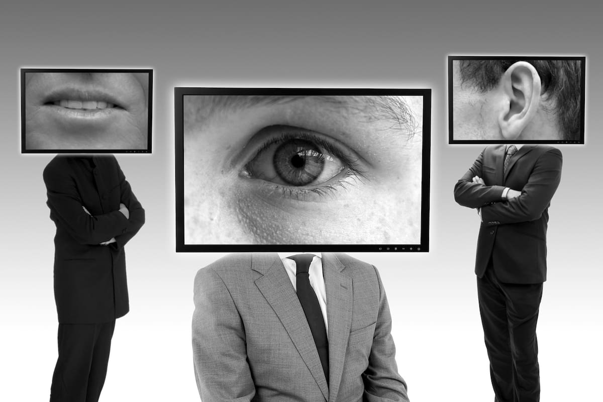 ¿Qué significa Stalkear?