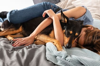 Qué significa que tu perro quiera dormir con vos, según los expertos (Foto: Freepik)