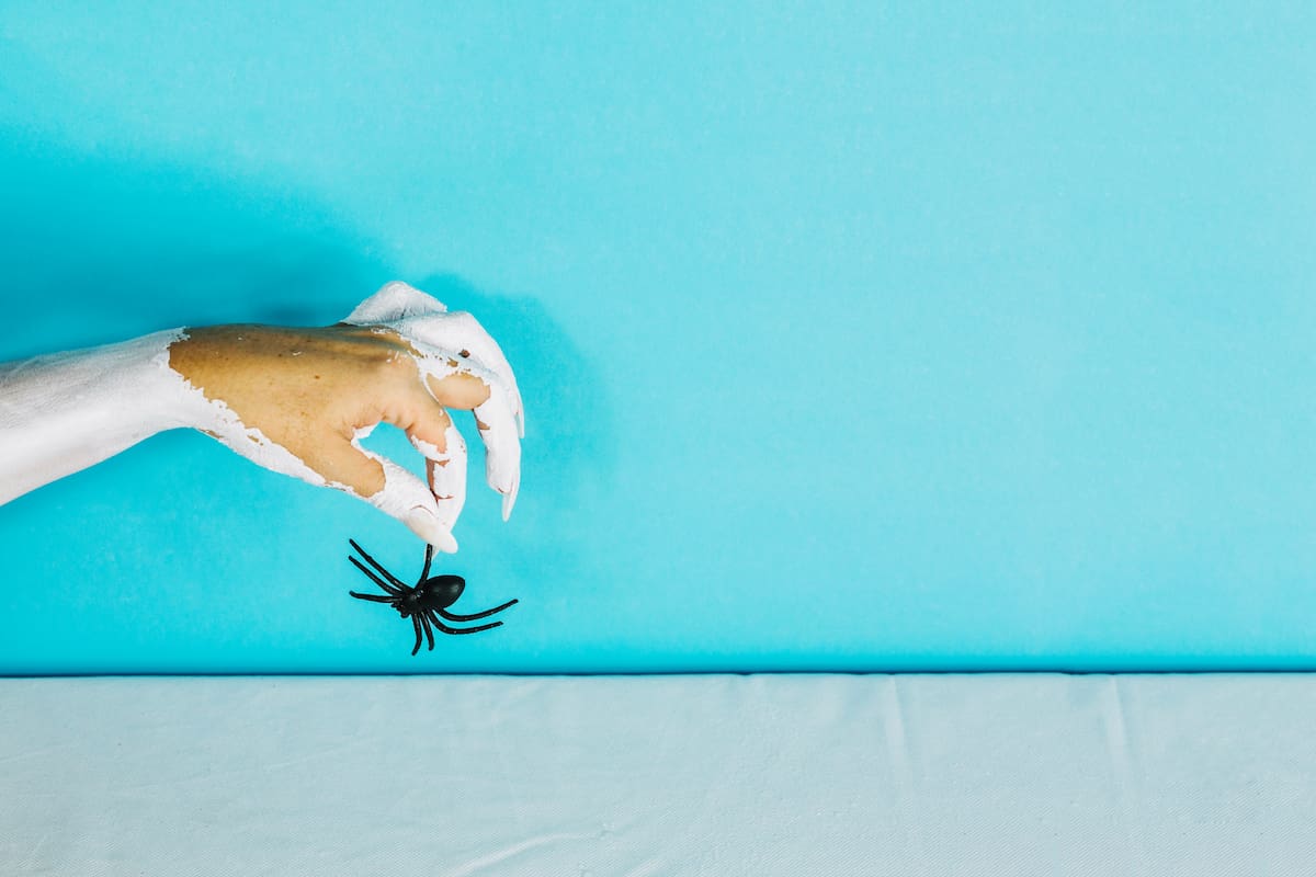 Qué significa que una araña vaya a tu casa y por qué jamás hay que echarla (Imagen ilustrativa Freepik)