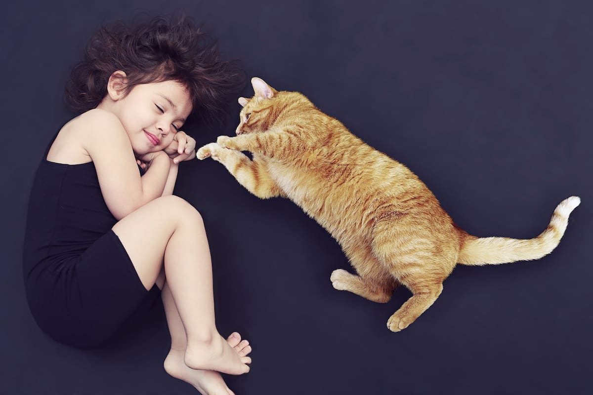 Qué significa soñar con gatos
