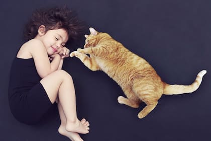 Qué significa soñar con gatos