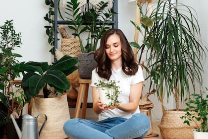 Qué significa vivir en un ambiente rodeado de plantas