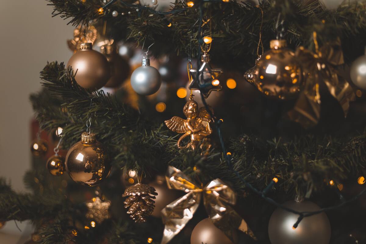 Qué significado tiene el árbol de Navidad