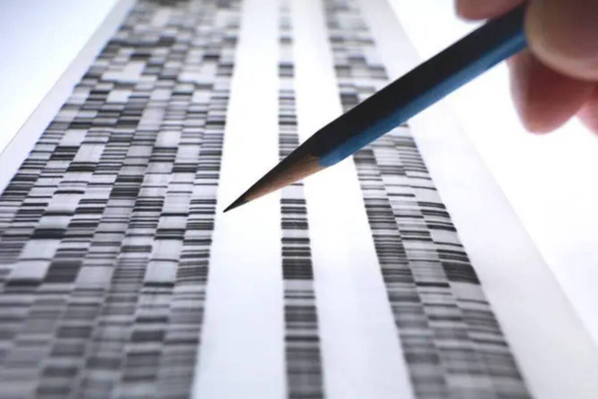 Qué son los misteriosos desiertos genéticos de nuestro ADN que los científicos asocian con enfermedades como el cáncer y el Crohn