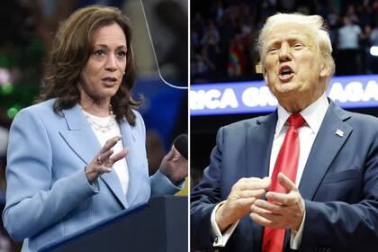 Qué tan precisas fueron las encuestas para las elecciones presidenciales 2024 entre Kamala Harris y Donald Trump