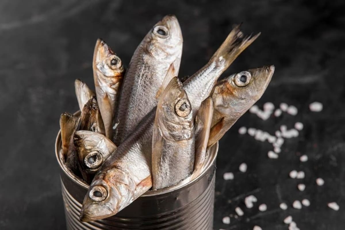 ¿Qué tan saludables son las sardinas en lata?