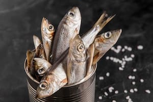 ¿Qué tan saludables son las sardinas en lata?