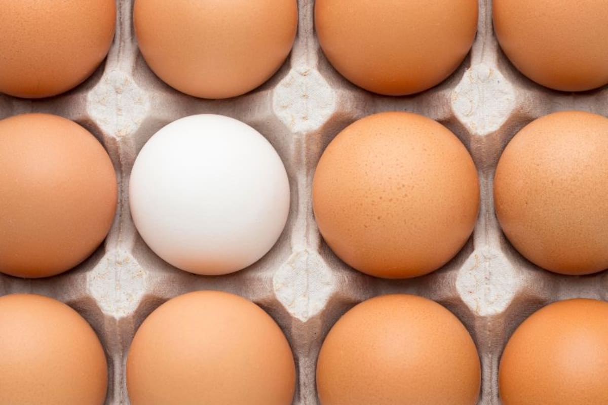 Qué tener en cuenta a la hora de almacenar los huevos