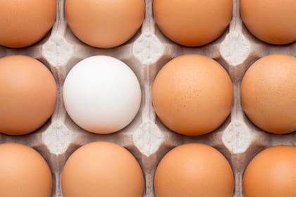 Qué tener en cuenta a la hora de almacenar los huevos