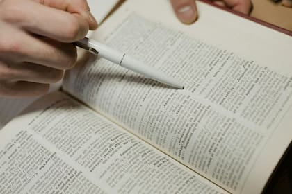 Qué tipo de palabras se sumaron al Diccionario español