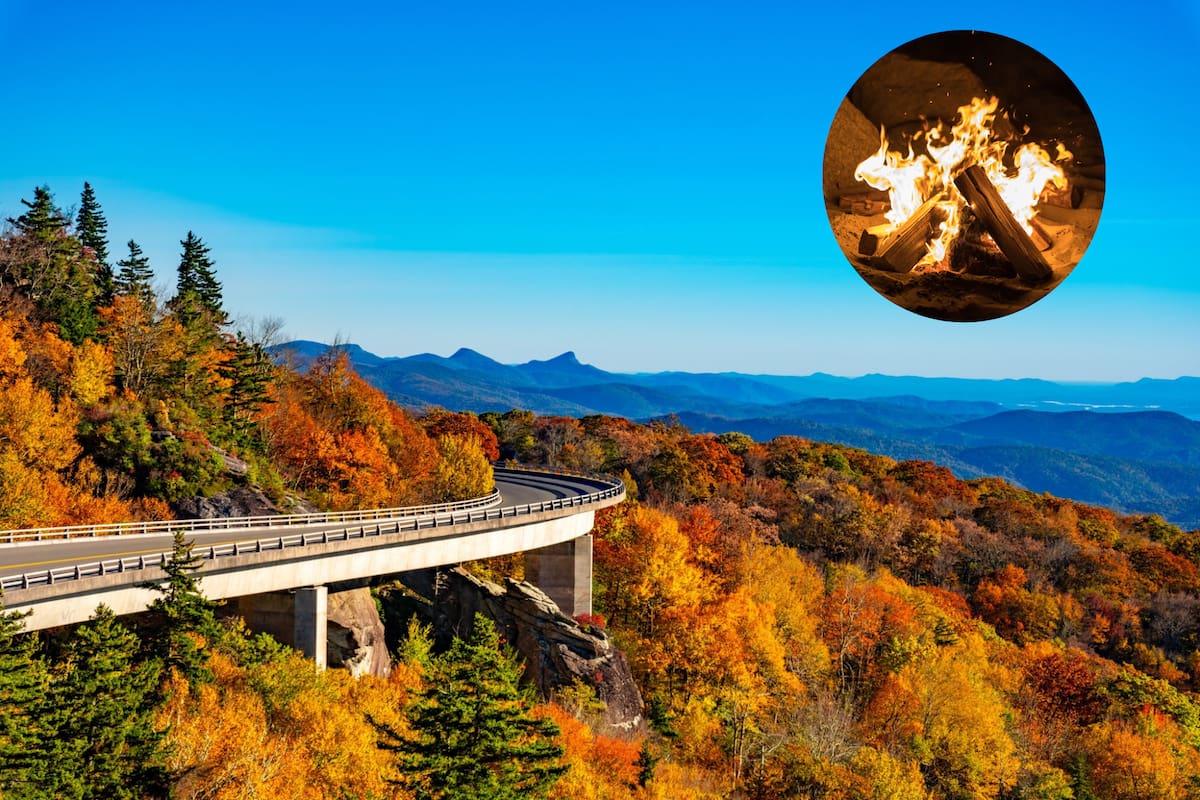 Queda prohibida la quema de hojas, ramas u otros restos vegetales, incluso con permiso previo