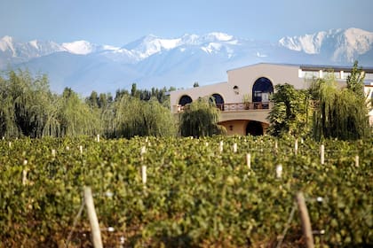 Valle de Uco, un lugar en el mundo.