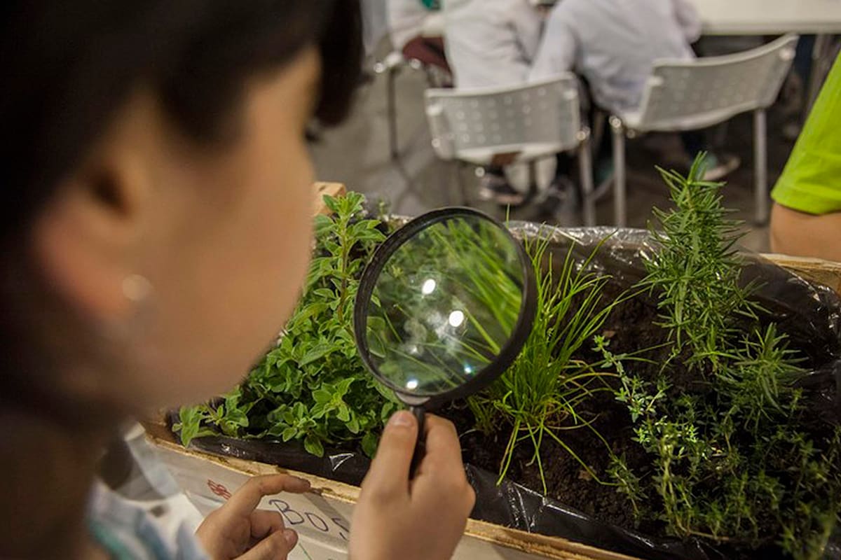Querer y respetar el ambiente, desde la escuela